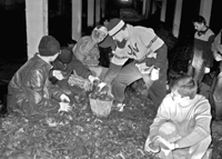 ���������� ���������